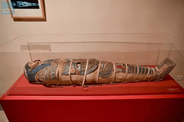 Une momie au musée de Tessé dans la ville du Mans © LeMansmaville