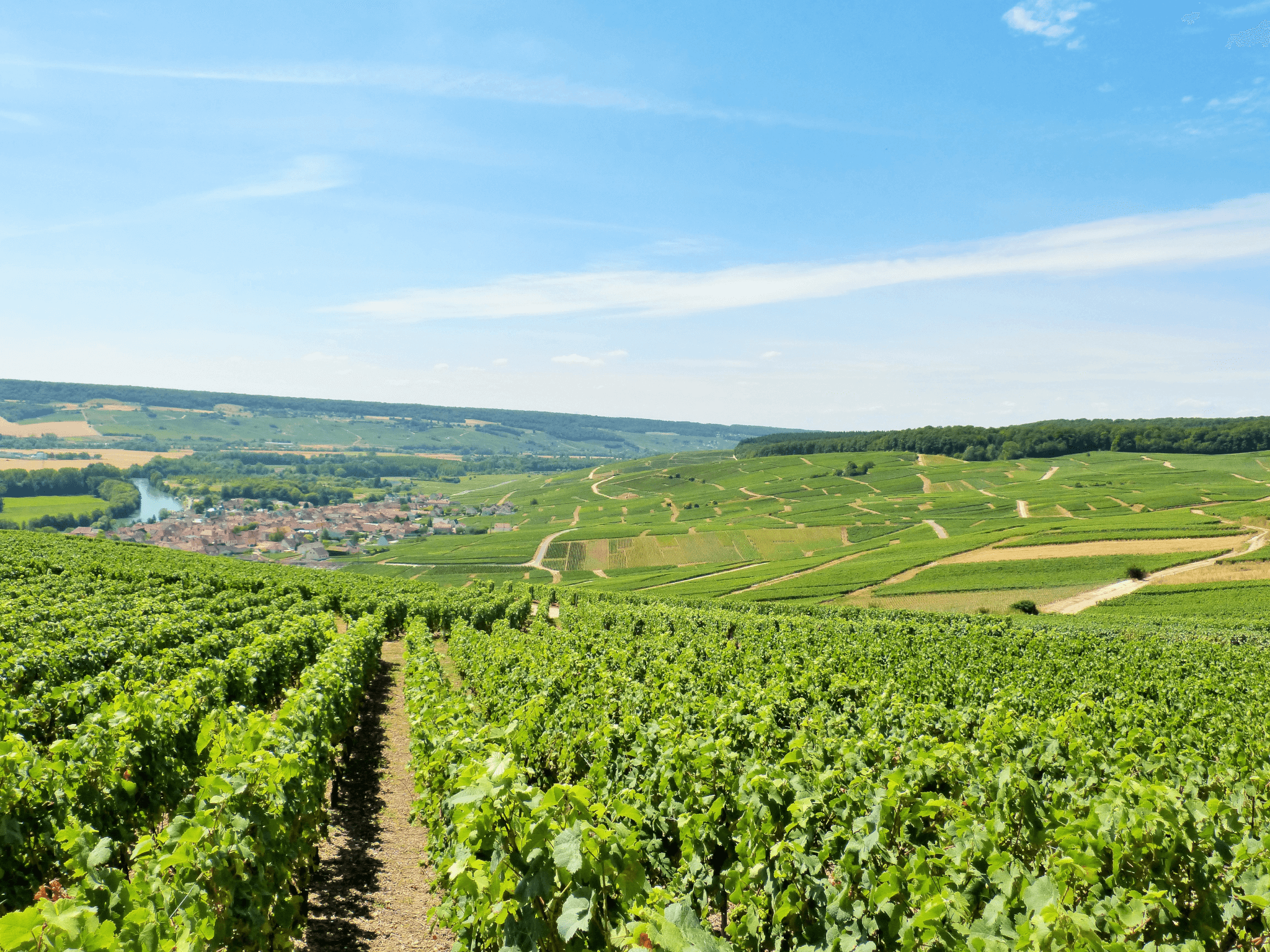 Hautvilliers un vignoble historique au coeur de la champagne © Tourisme en Champagne