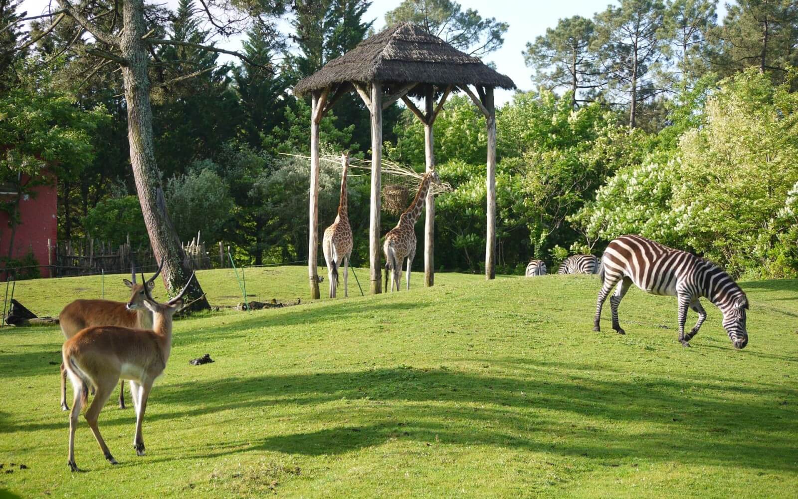 Le zoo du bassin d'Arcachon faisant coexisté des animaux de différentes espèces ©FranceComfort 