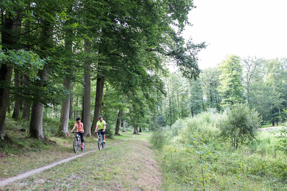 Traversez un parcours de cyclotourisme dans la Forêt de Retz, à Villers-Cotterêts ©Randonner.fr 
