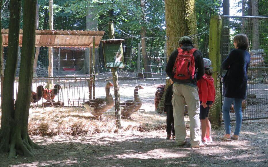 Visitez le parc animalier de Janvry et venez rencontrer ses nombreux résidents ©Le Parisien