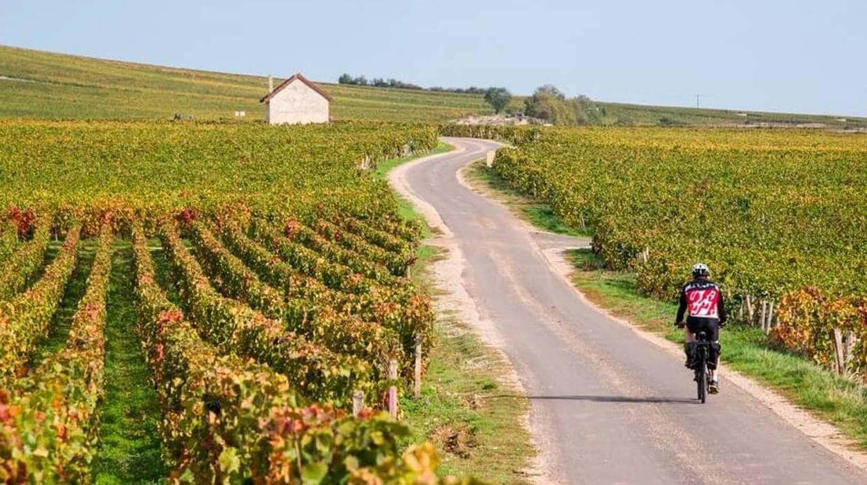 Parcourez les parcours de La Route des Grands Crus de Bourgogne pour découvrir le savoir-faire local ©Ouest-France 