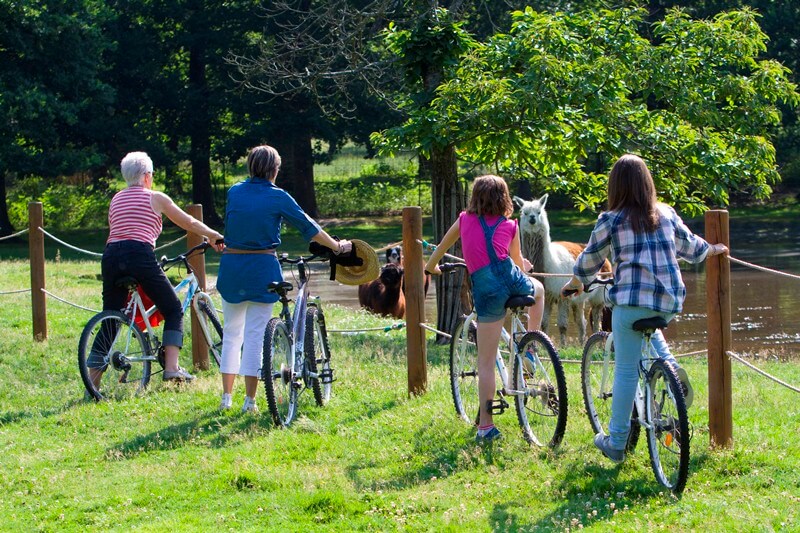 Traversez la Réserve zoologique en vélo pour rencontrer tout les animaux ©Touraine Loire Valley