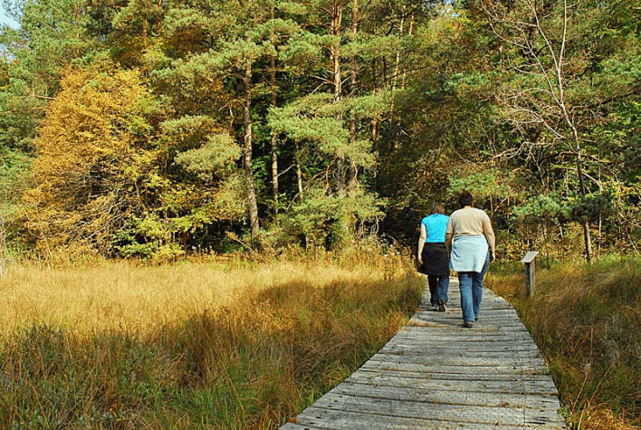 Sentier naturel de la réserve de Chalmessin © Bienvenue en Haute-Marne