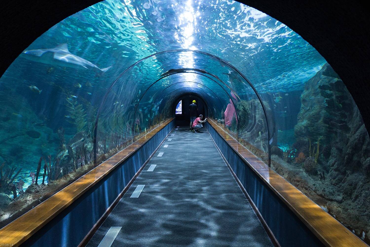 Venez découvrir l'Aquarium de Touraine ©Tours en Val de Loire