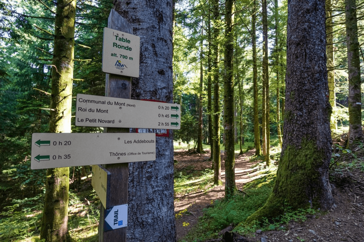 Rejoignez le Bois du Mont dans la randonnée le Roi du Mont depuis Thônes © Thones Coeur de Vallée