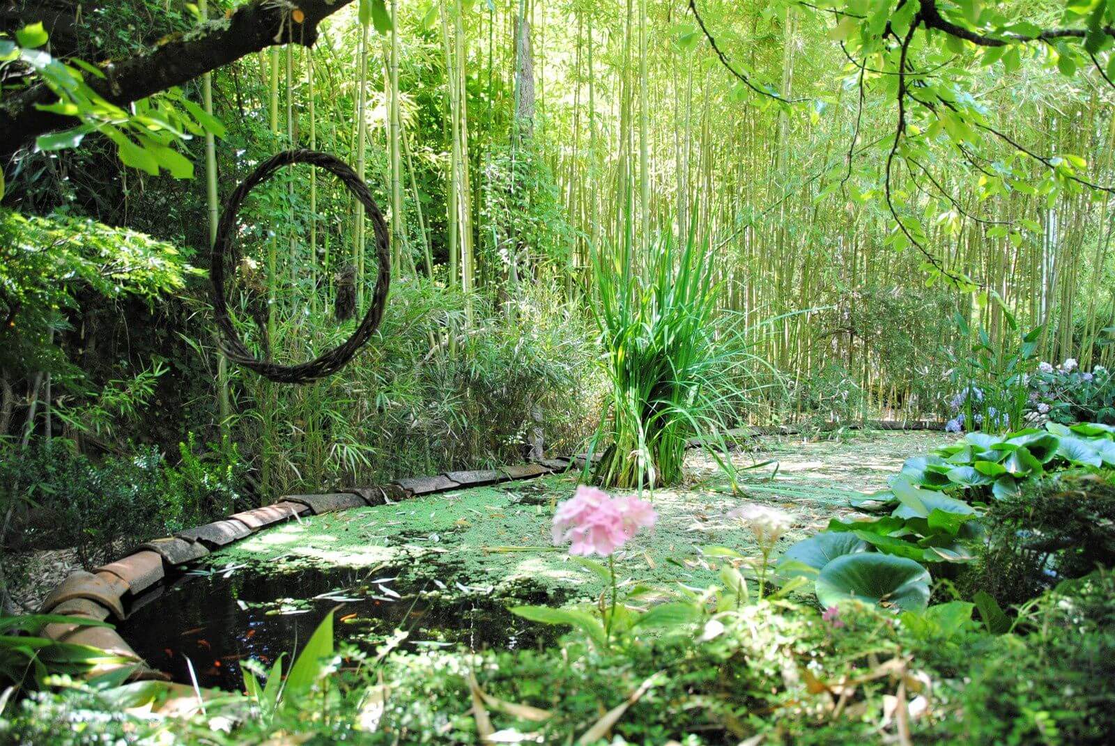 Baladez-vous au Jardin Les Bambous du Mandarin, un espace vert pour vous ressourcez ©leblogdechristiane
