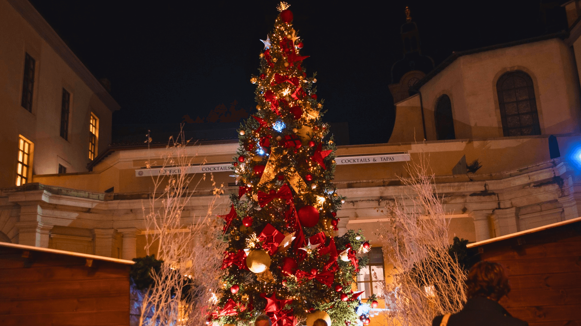 Sapin de Noël du Grand Hôtel Dieu © Visiter Lyon